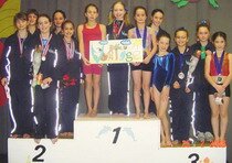 Club Voltige